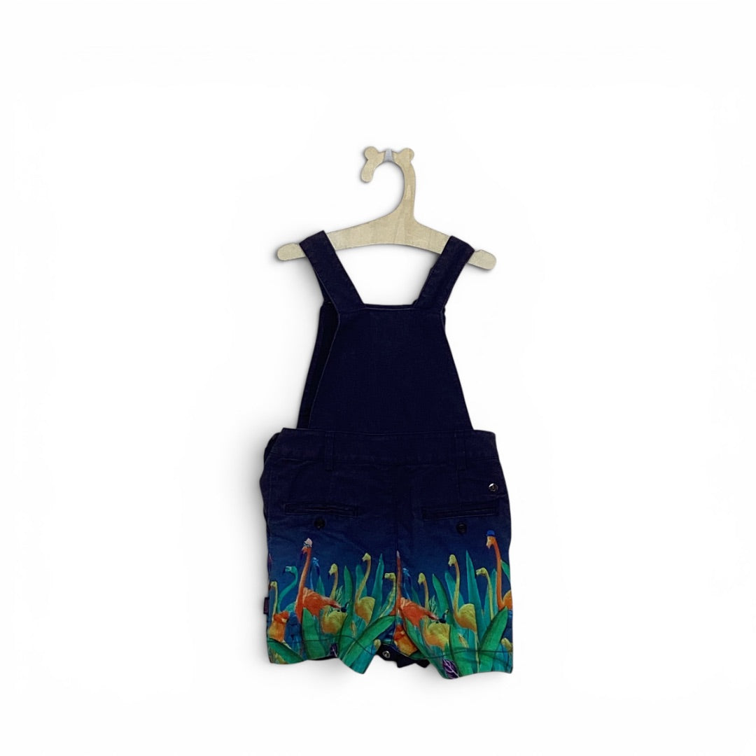 Latzhose Ted Baker multicolor, 74