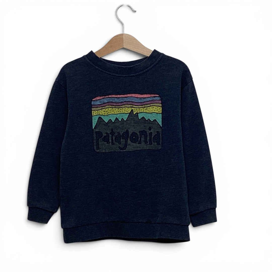 Sweater Patagonia navy, 116