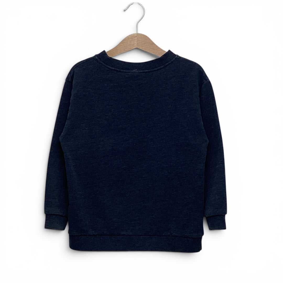 Sweater Patagonia navy, 116
