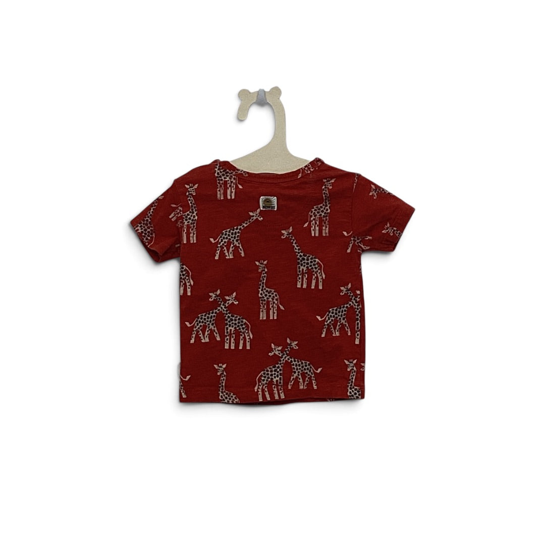 T-Shirt Noppies orange, 62